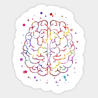 Brain anatomy Sticker